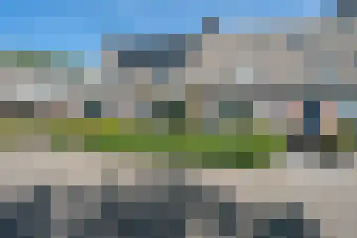 De Klip 70 Koedijk thumbnail 51