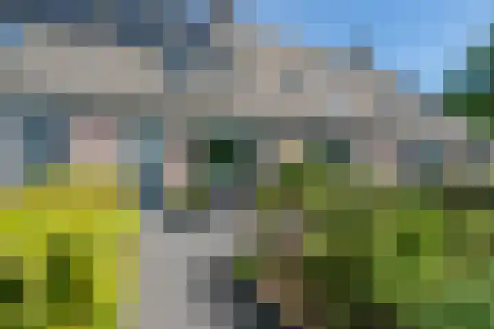 De Klip 70 Koedijk thumbnail 53