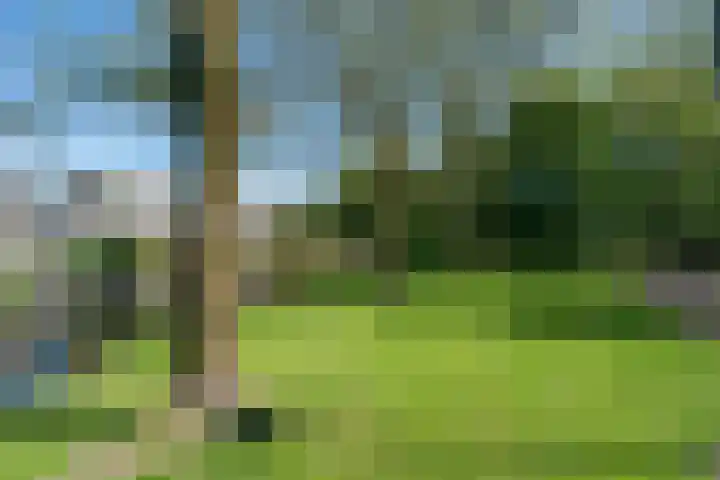 De Klip 70 Koedijk thumbnail 54