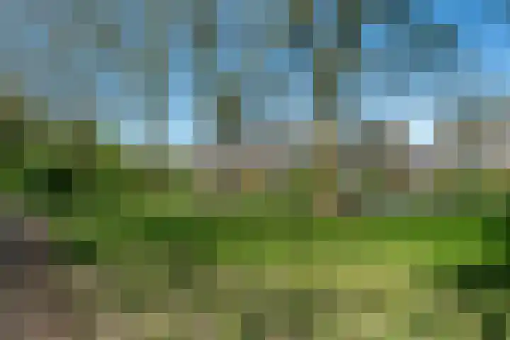 De Klip 70 Koedijk thumbnail 55
