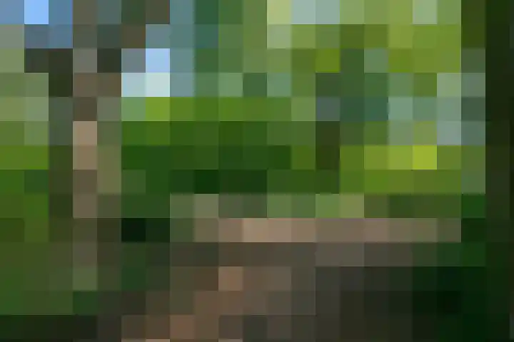 De Klip 70 Koedijk thumbnail 56