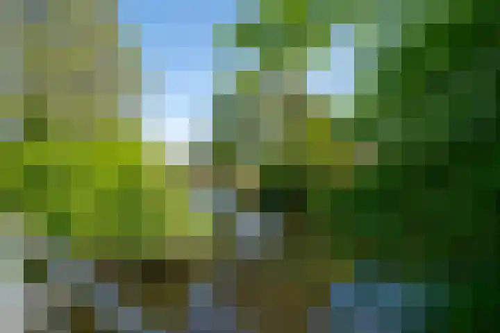 De Klip 70 Koedijk thumbnail 57