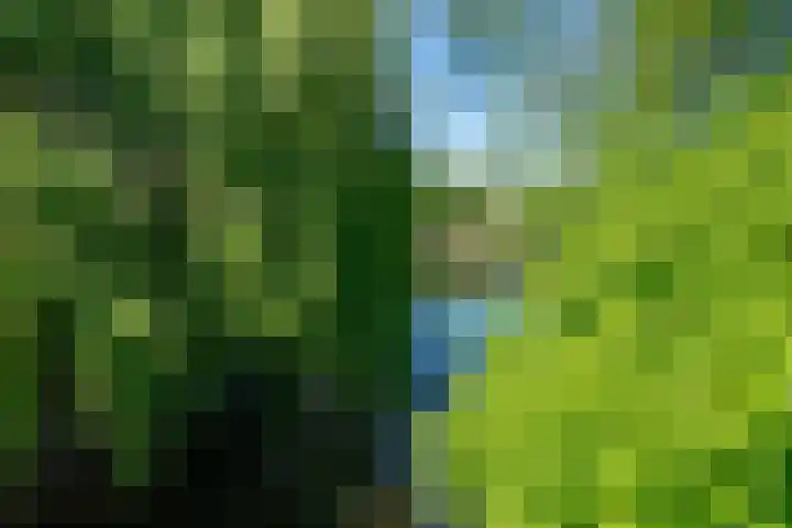 De Klip 70 Koedijk thumbnail 58