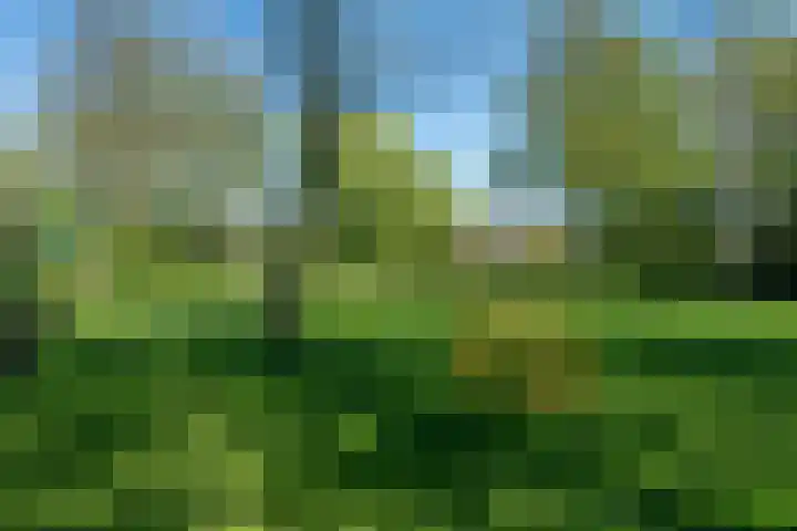 De Klip 70 Koedijk thumbnail 59