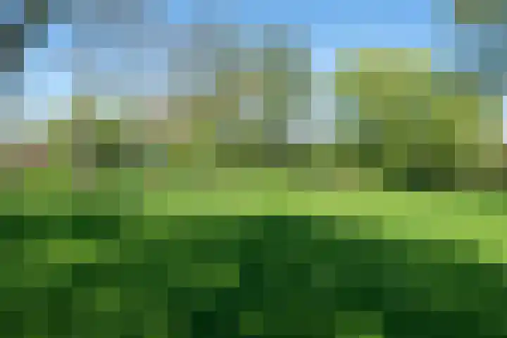De Klip 70 Koedijk thumbnail 60