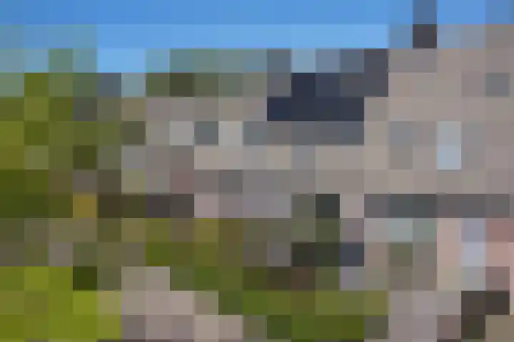 De Klip 70 Koedijk thumbnail 61