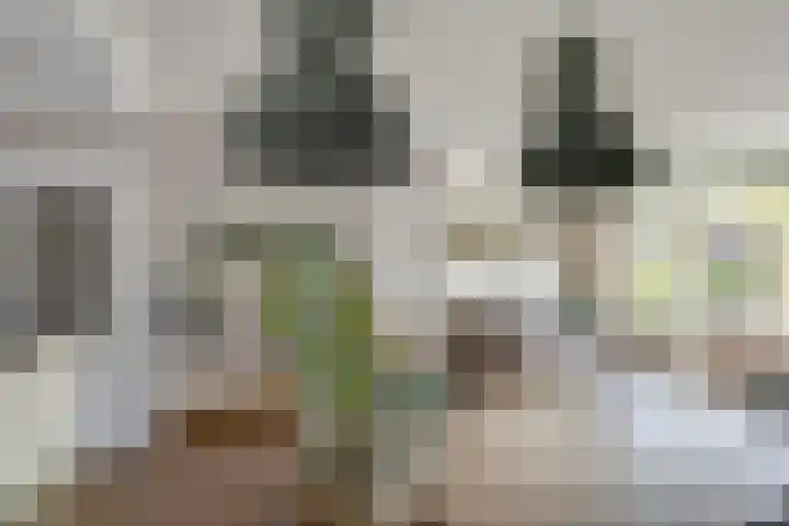 De Klip 70 Koedijk thumbnail 8