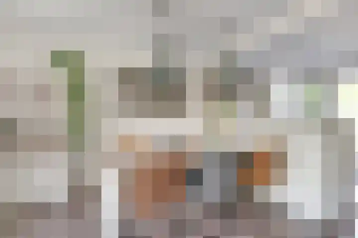 De Klip 70 Koedijk thumbnail 9