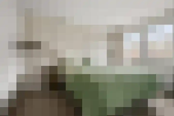 De Klip 97 Koedijk thumbnail 12
