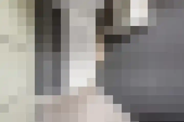 De Klip 97 Koedijk thumbnail 15