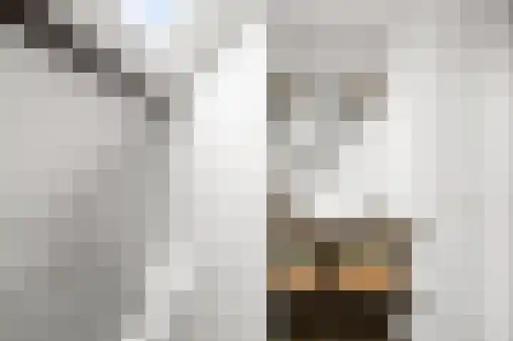De Klip 97 Koedijk thumbnail 20
