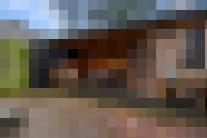 De Klip 97 Koedijk thumbnail 27