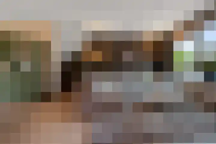 De Klip 97 Koedijk foto 3