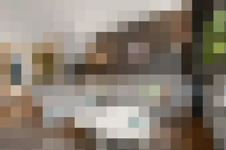 De Klip 97 Koedijk thumbnail 4