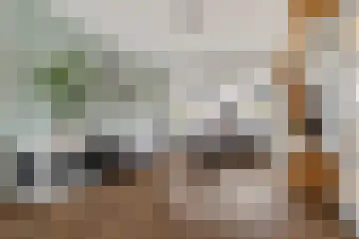 De Klipper 5 Zwartsluis thumbnail 11