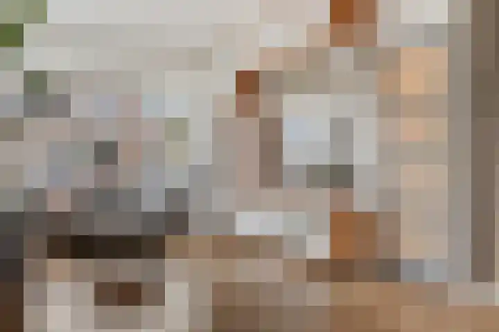 De Klipper 5 Zwartsluis thumbnail 12