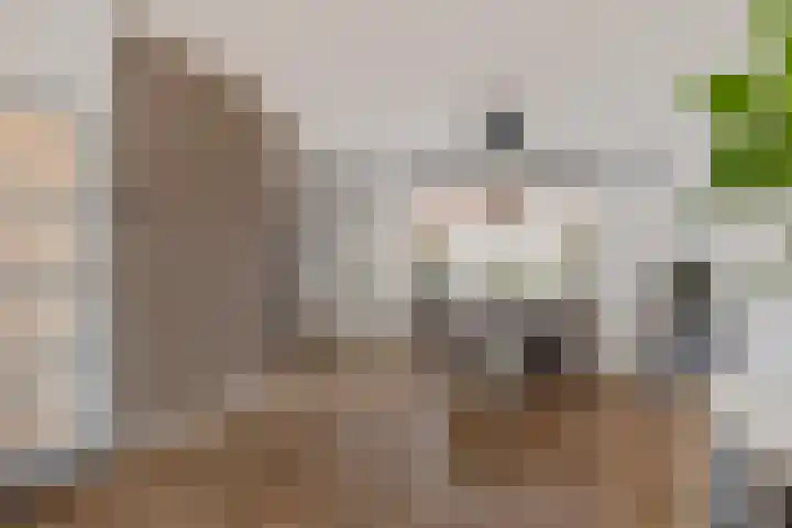 De Klipper 5 Zwartsluis thumbnail 14