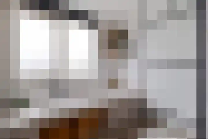 De Klipper 5 Zwartsluis thumbnail 31