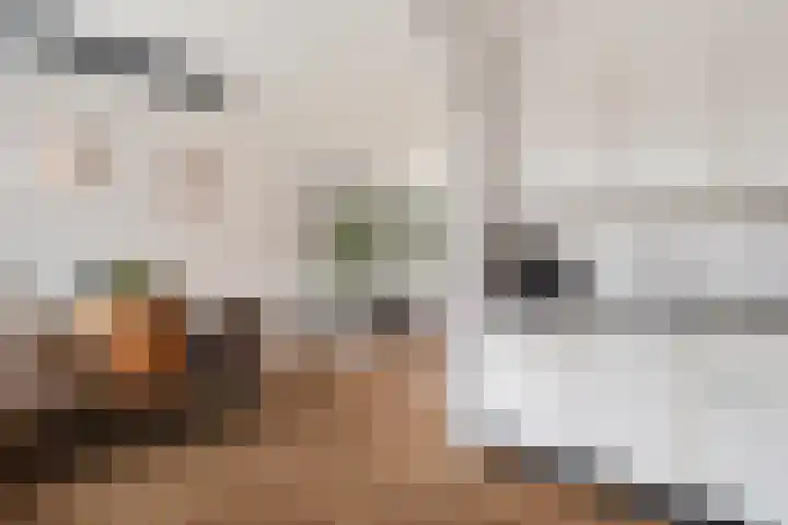 De Klipper 5 Zwartsluis thumbnail 4