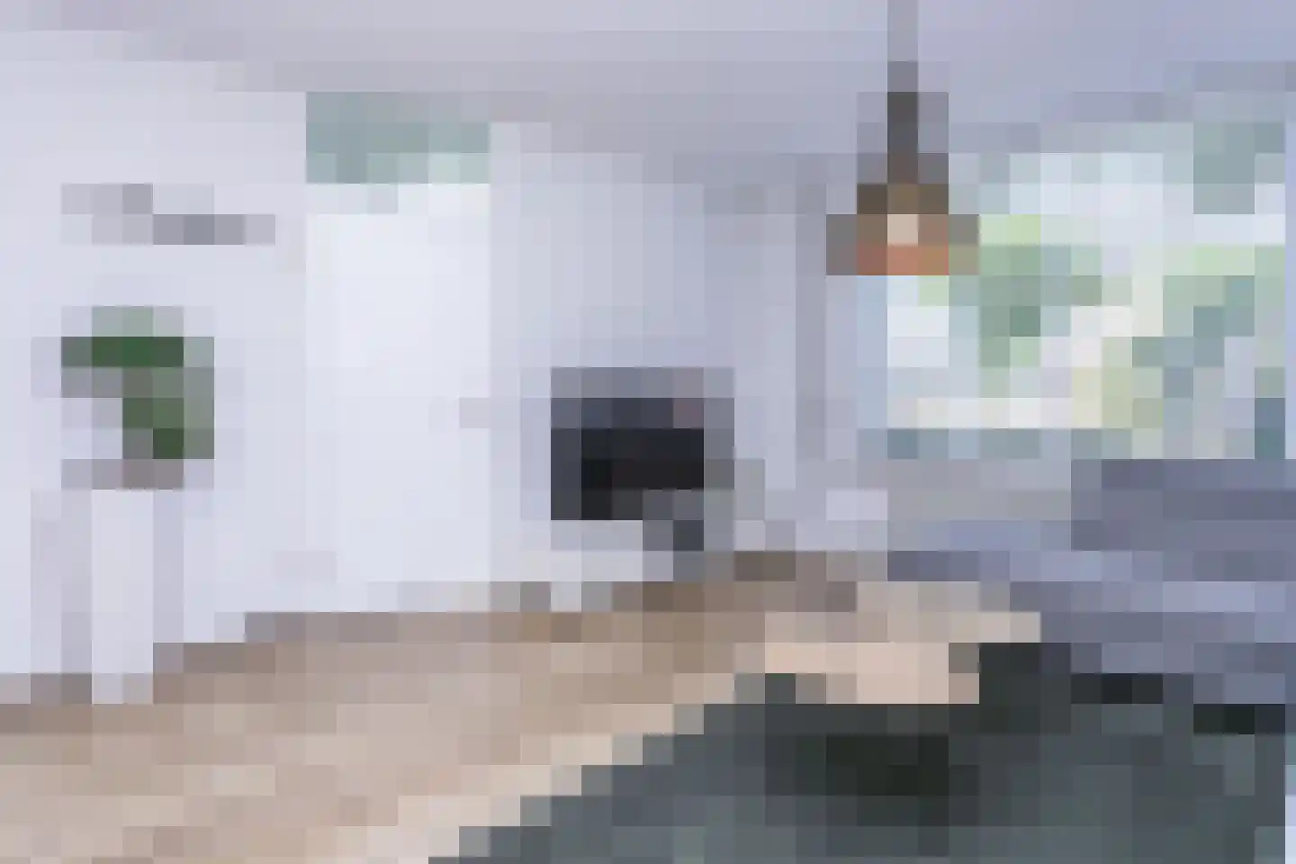 De Kloes 11 Amstenrade thumbnail 11