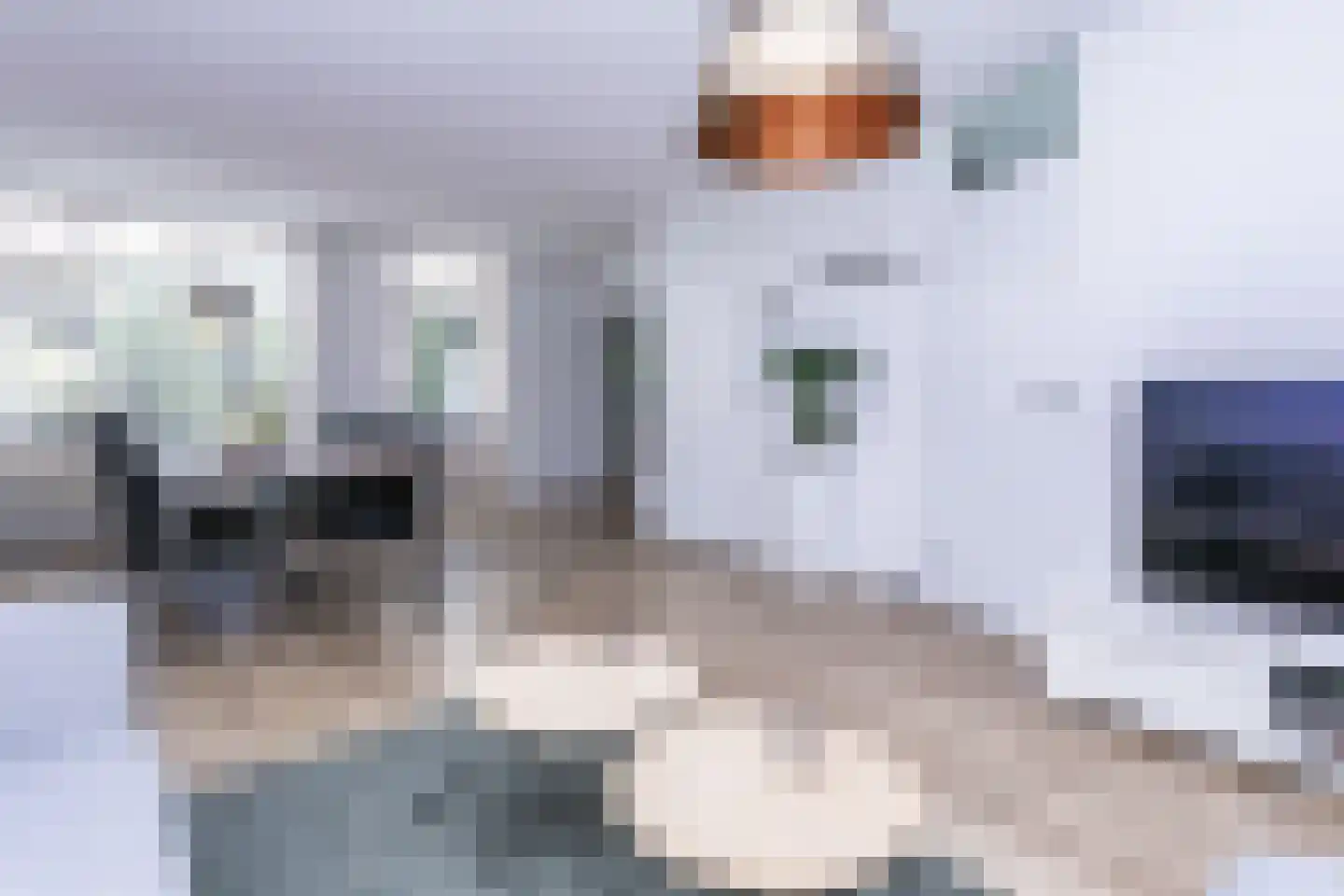 De Kloes 11 Amstenrade thumbnail 12