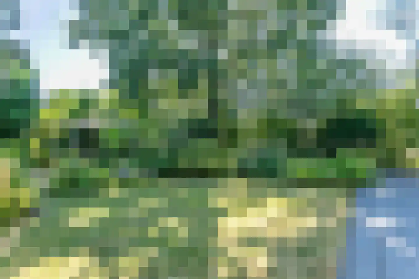 De Kloes 11 Amstenrade thumbnail 26