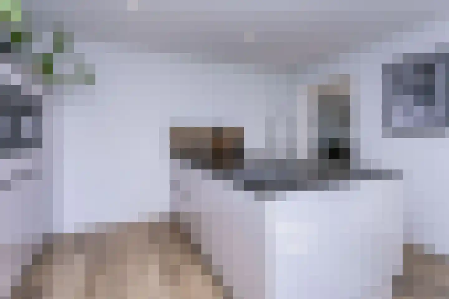 De Kloes 11 Amstenrade thumbnail 7