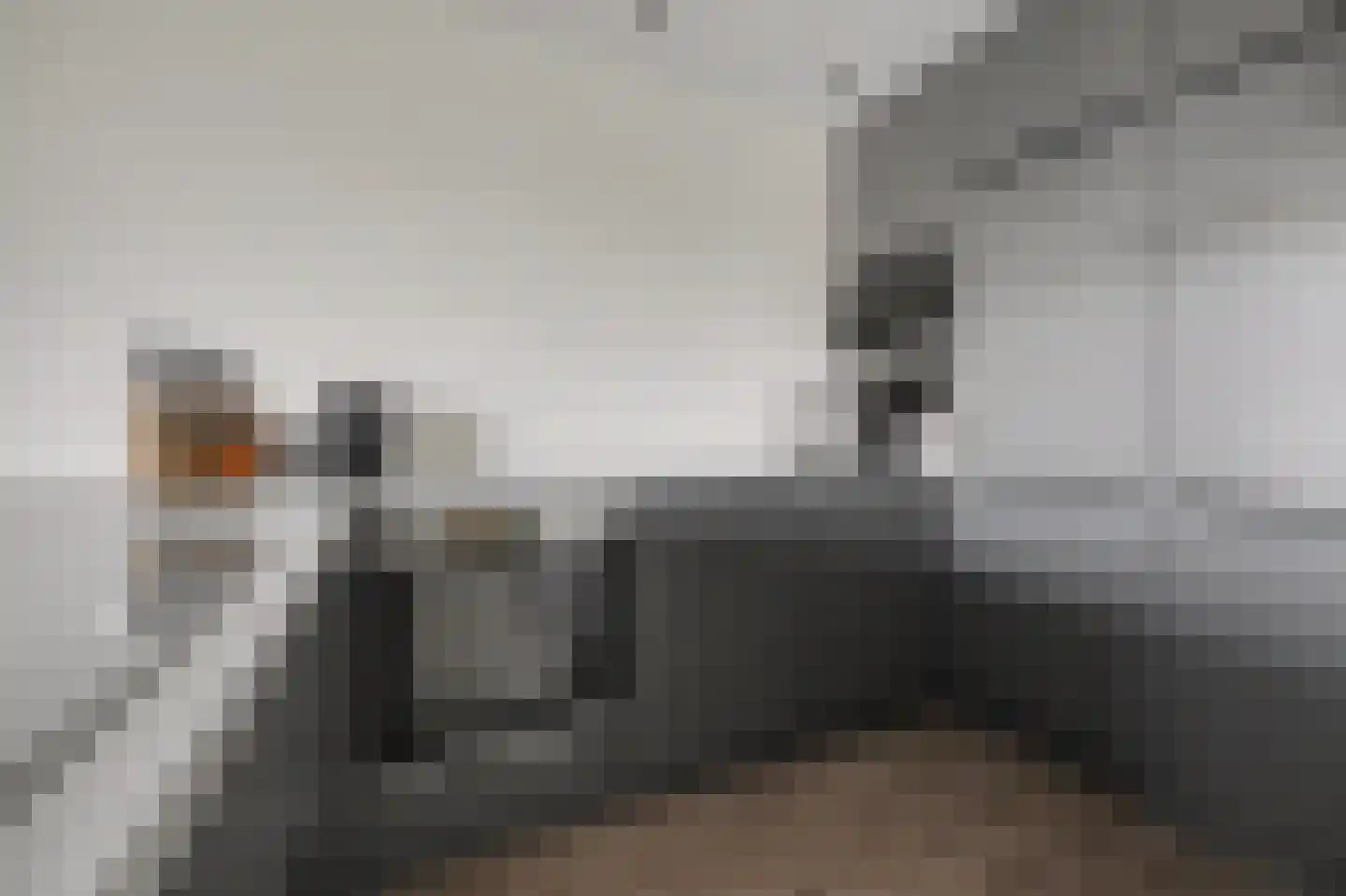 De Klok 10 Vlijmen thumbnail 11