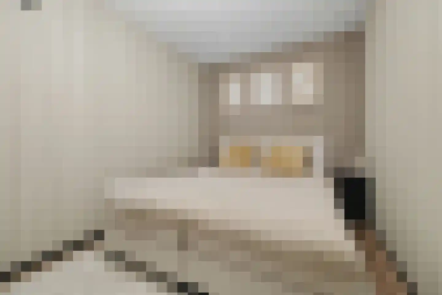 De Klok 10 Vlijmen thumbnail 14