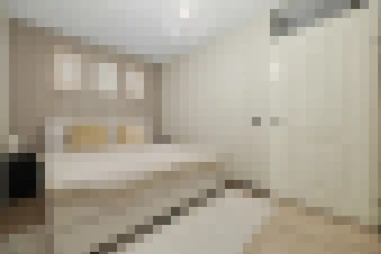 De Klok 10 Vlijmen thumbnail 15