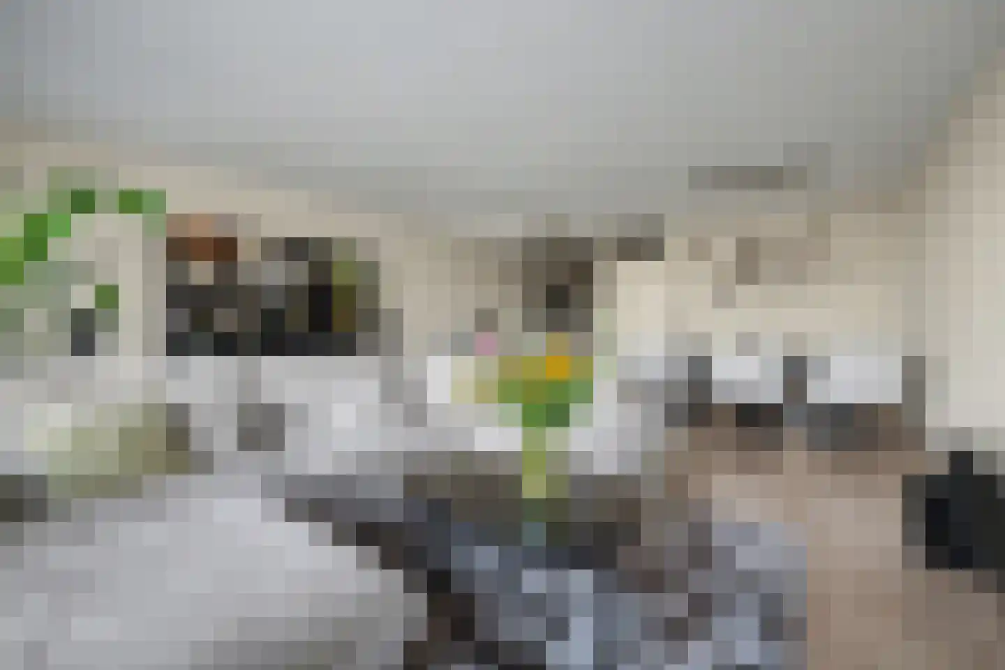De Klok 10 Vlijmen foto 3