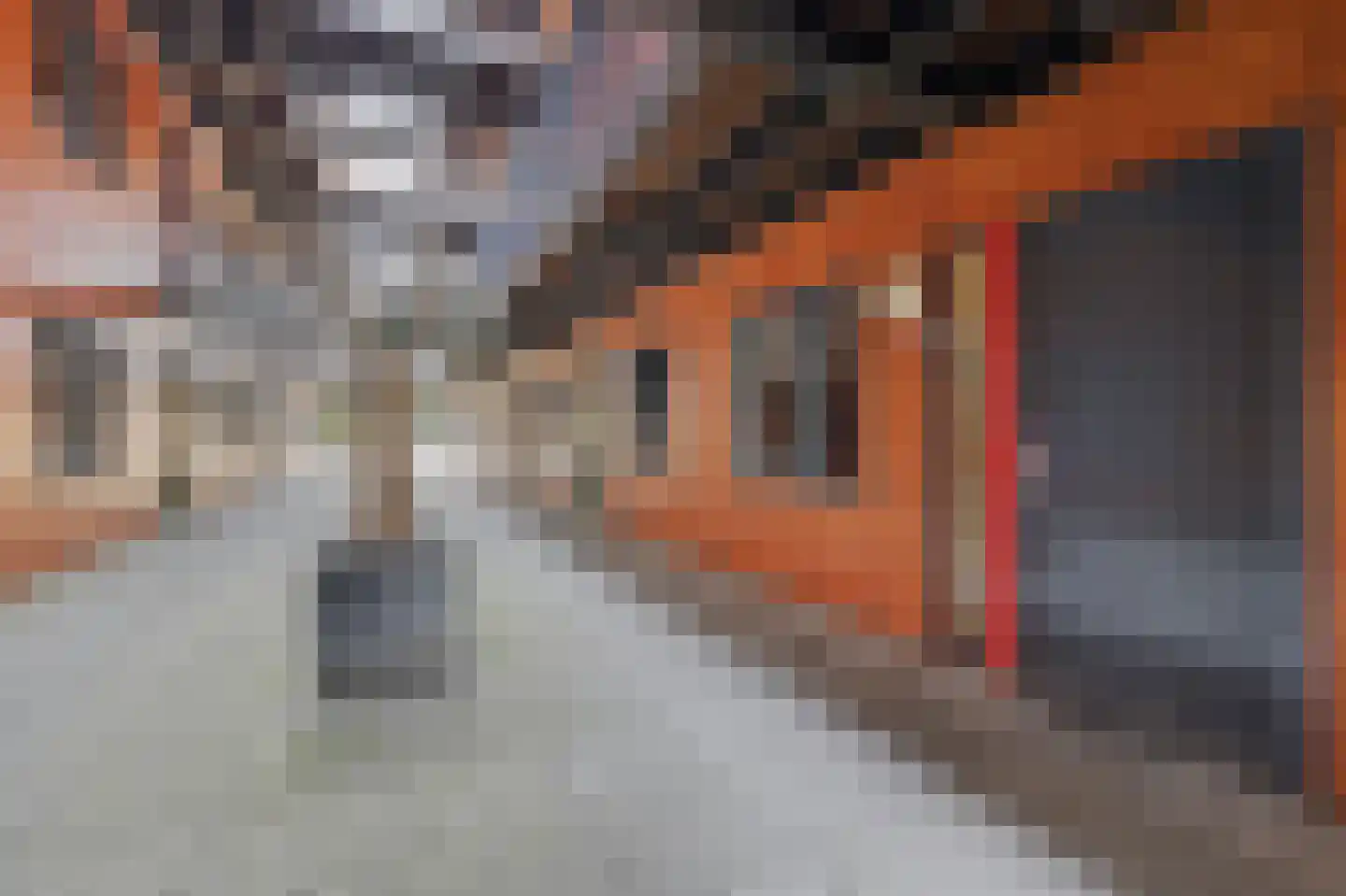 De Klok 10 Vlijmen thumbnail 31