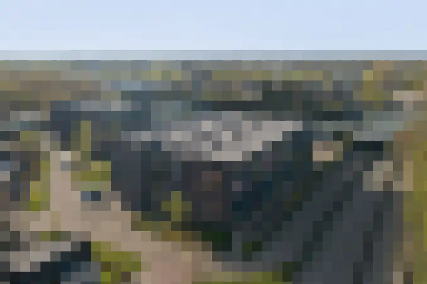 De Klok 10 Vlijmen thumbnail 35