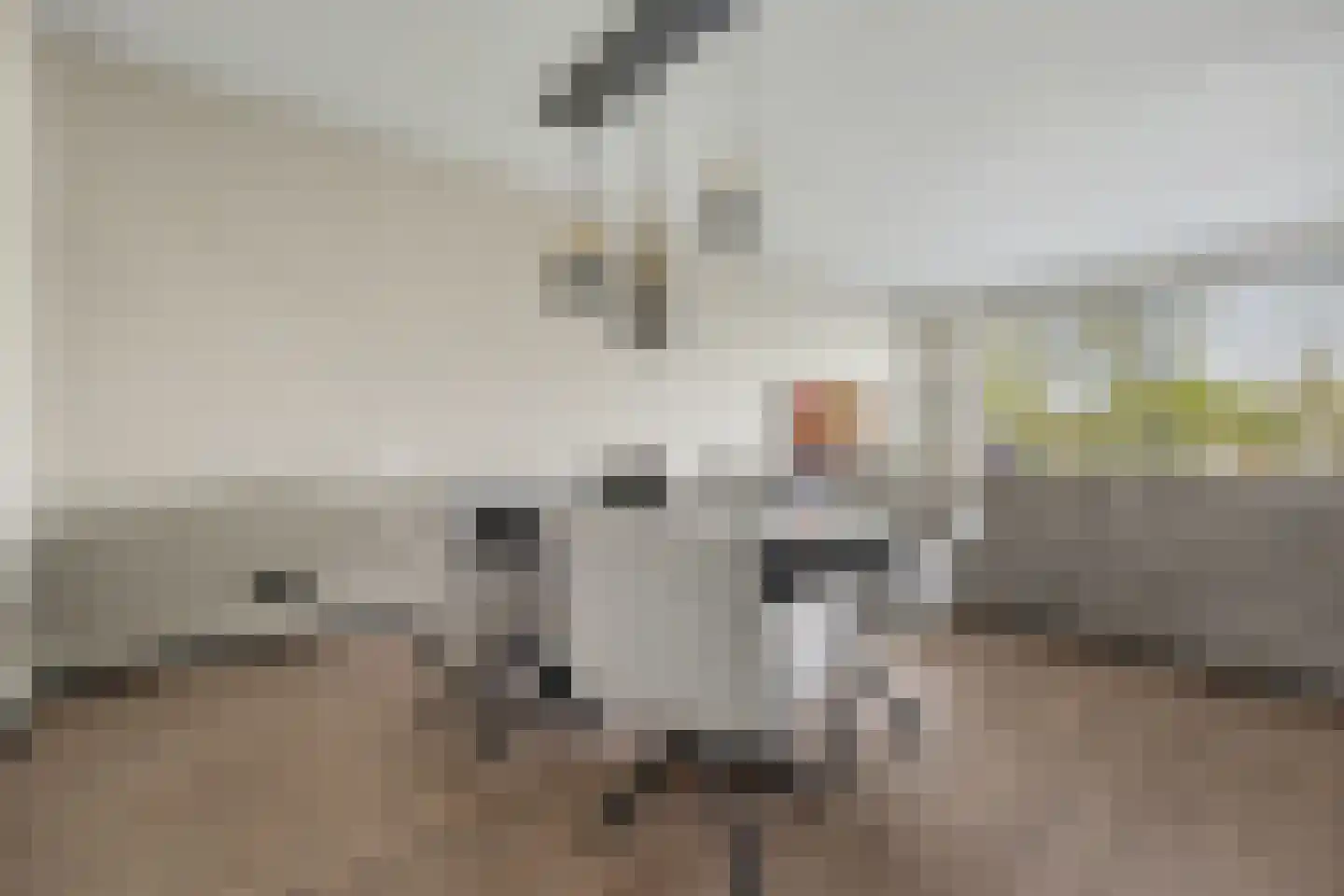 De Klok 10 Vlijmen thumbnail 7