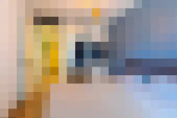 De Klok 108 Rijnsburg thumbnail 11