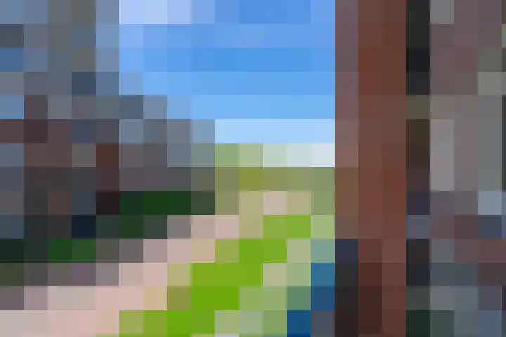 De Klok 108 Rijnsburg thumbnail 19