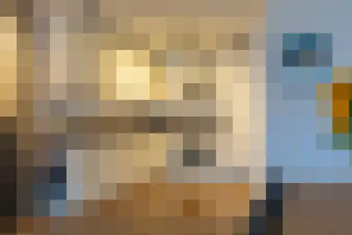 De Klok 108 Rijnsburg thumbnail 6