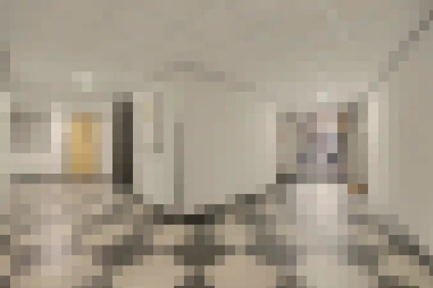 De Klok 121 Rijnsburg thumbnail 12