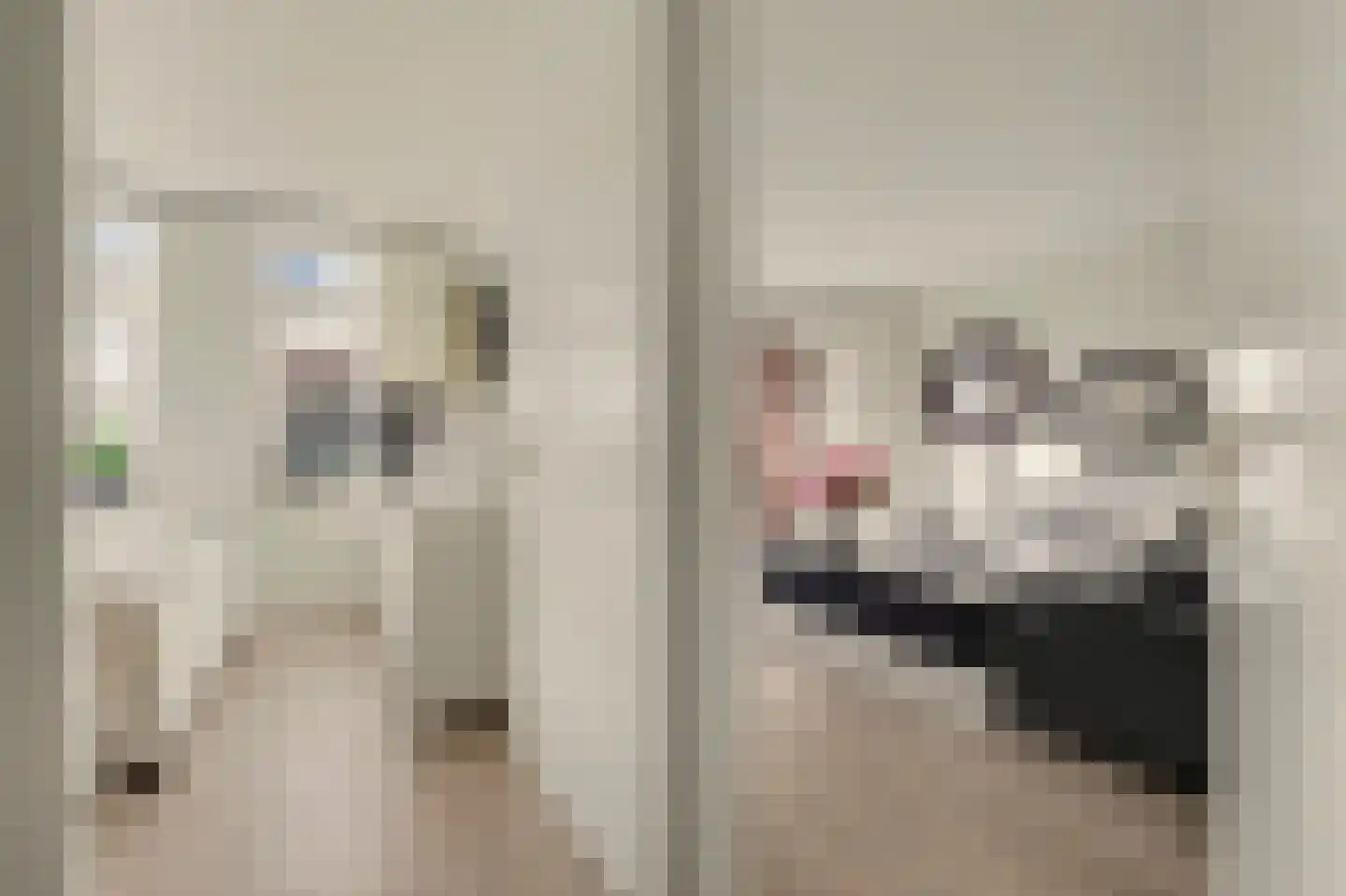 De Klok 121 Rijnsburg thumbnail 19