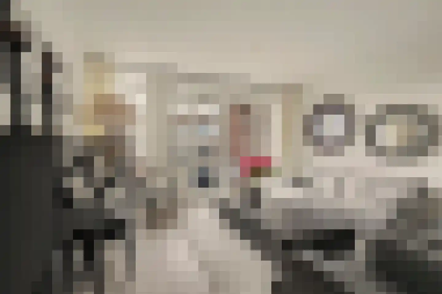De Klok 121 Rijnsburg thumbnail 20