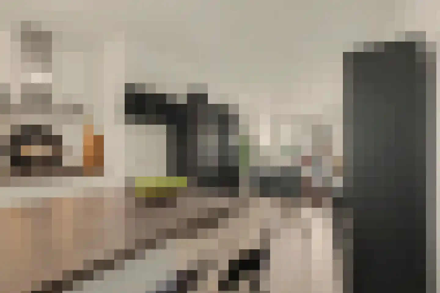 De Klok 121 Rijnsburg thumbnail 28