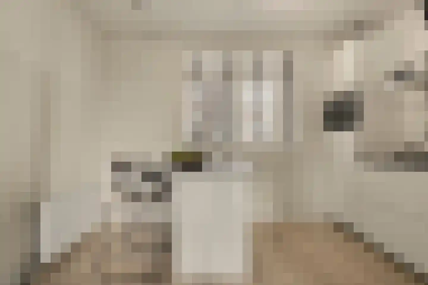 De Klok 121 Rijnsburg thumbnail 29