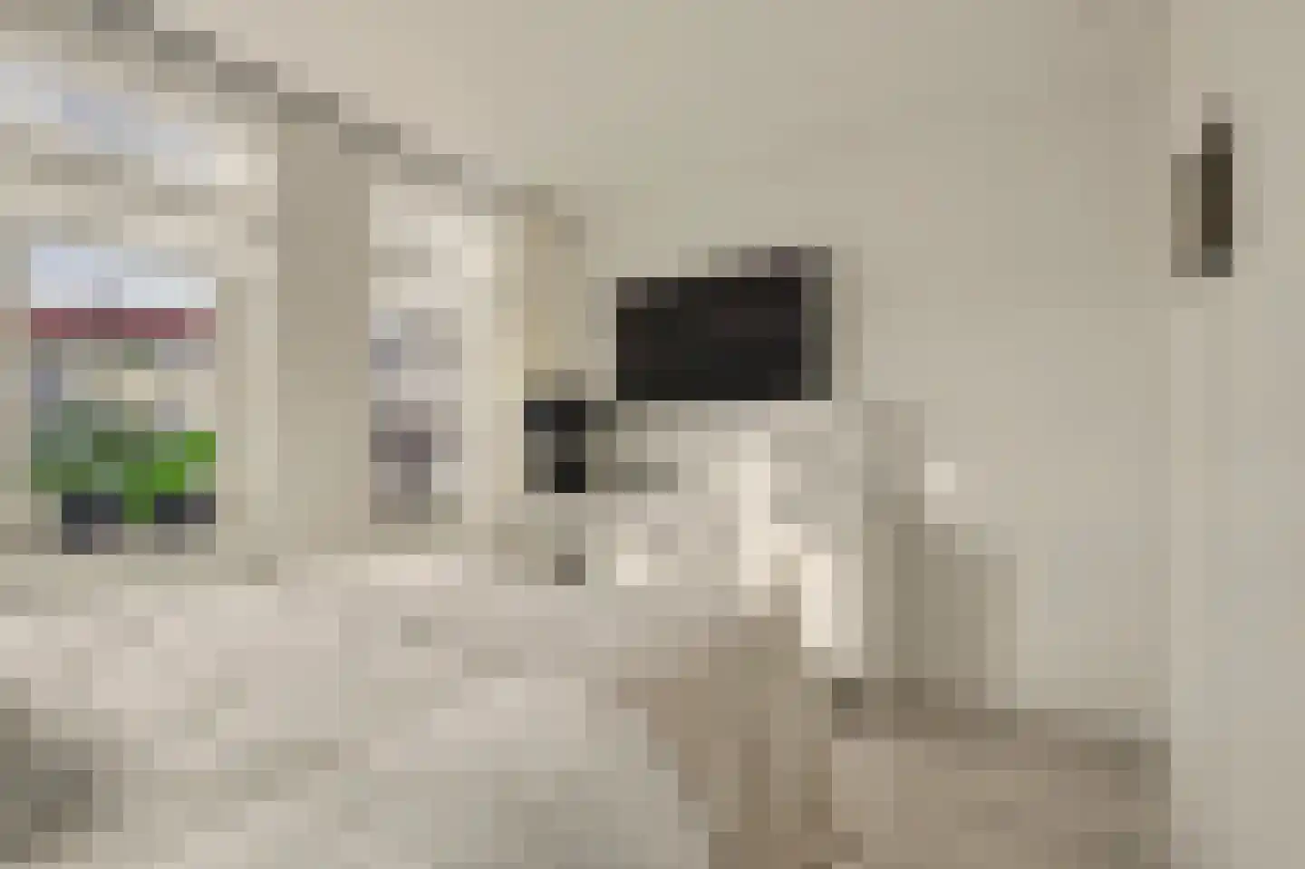 De Klok 121 Rijnsburg thumbnail 34