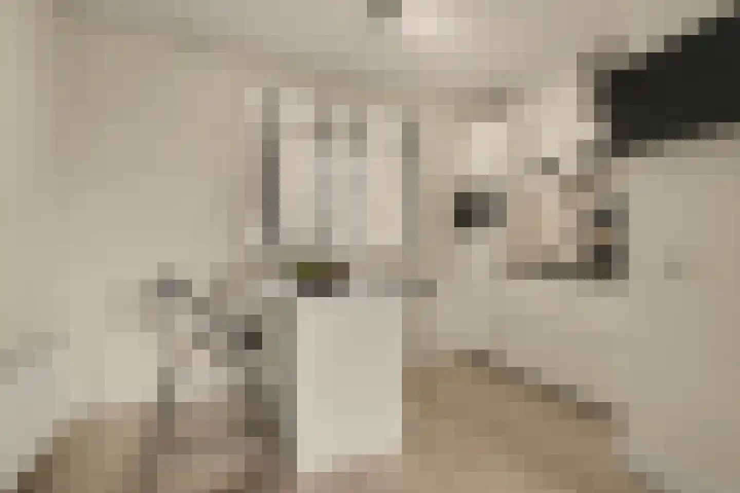 De Klok 121 Rijnsburg thumbnail 4