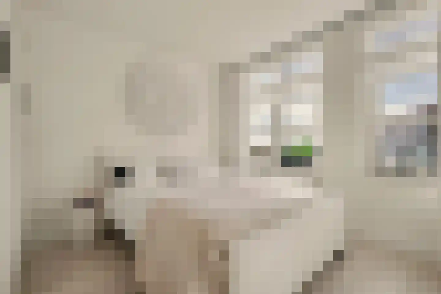 De Klok 121 Rijnsburg thumbnail 5