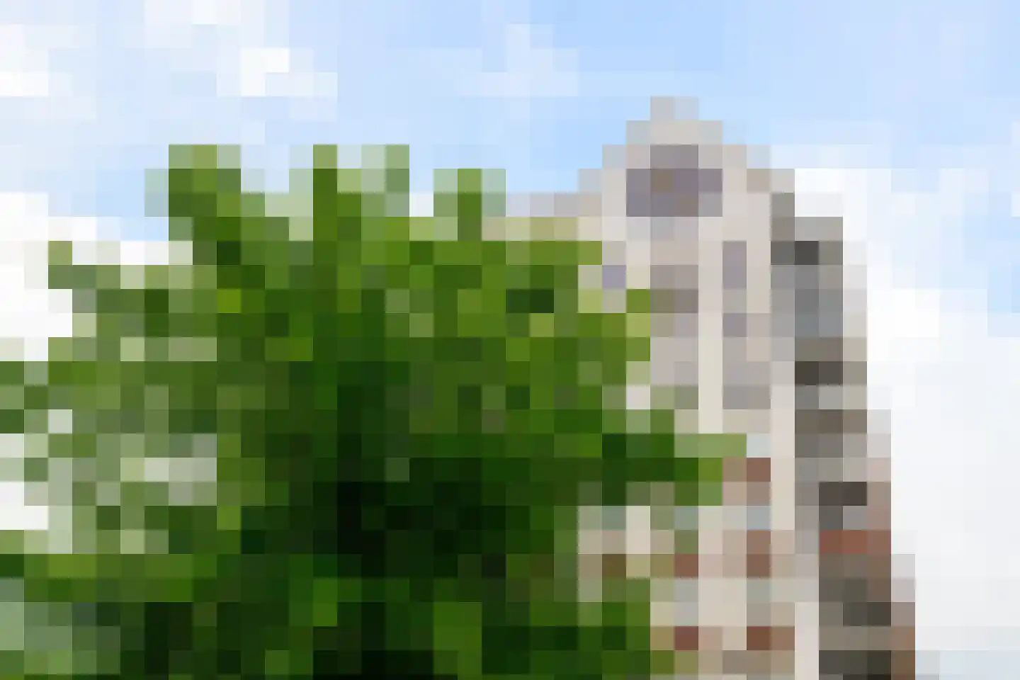 De Klok 125 Rijnsburg thumbnail 27