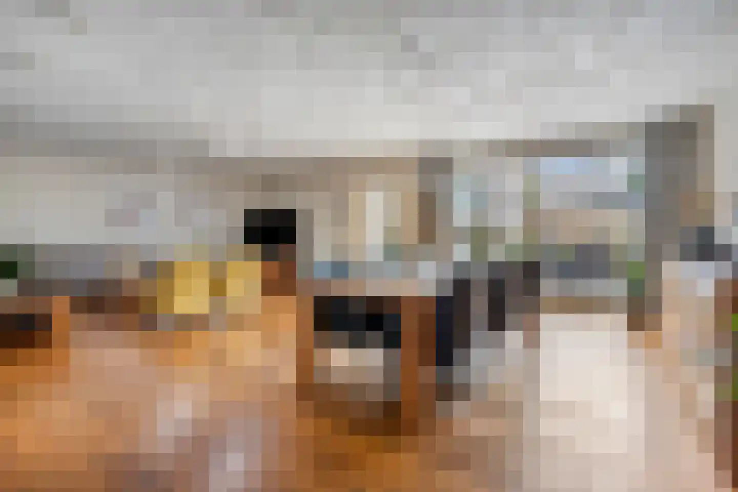 De Klok 17 Vlijmen thumbnail 12