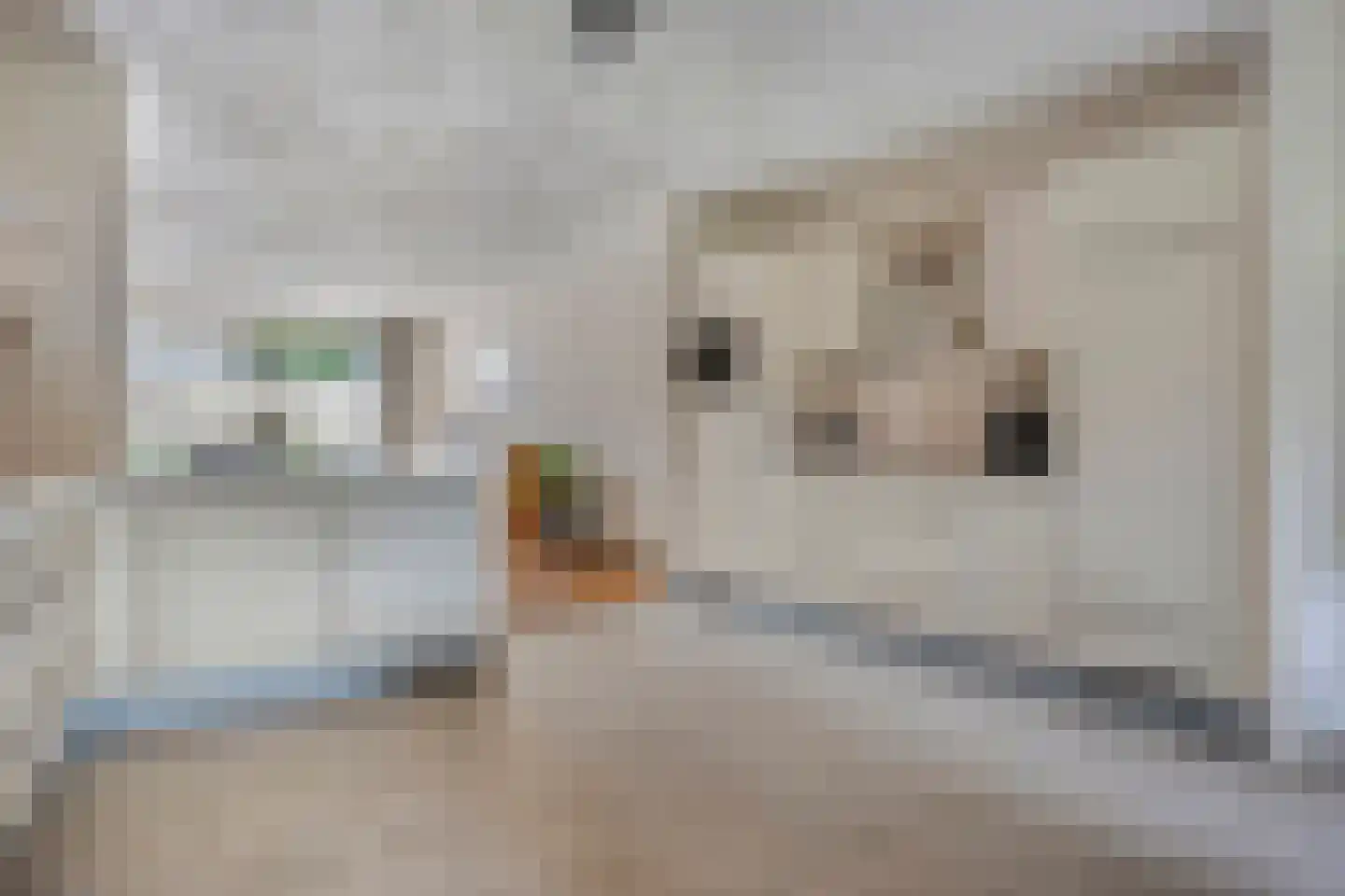 De Klok 17 Vlijmen thumbnail 14