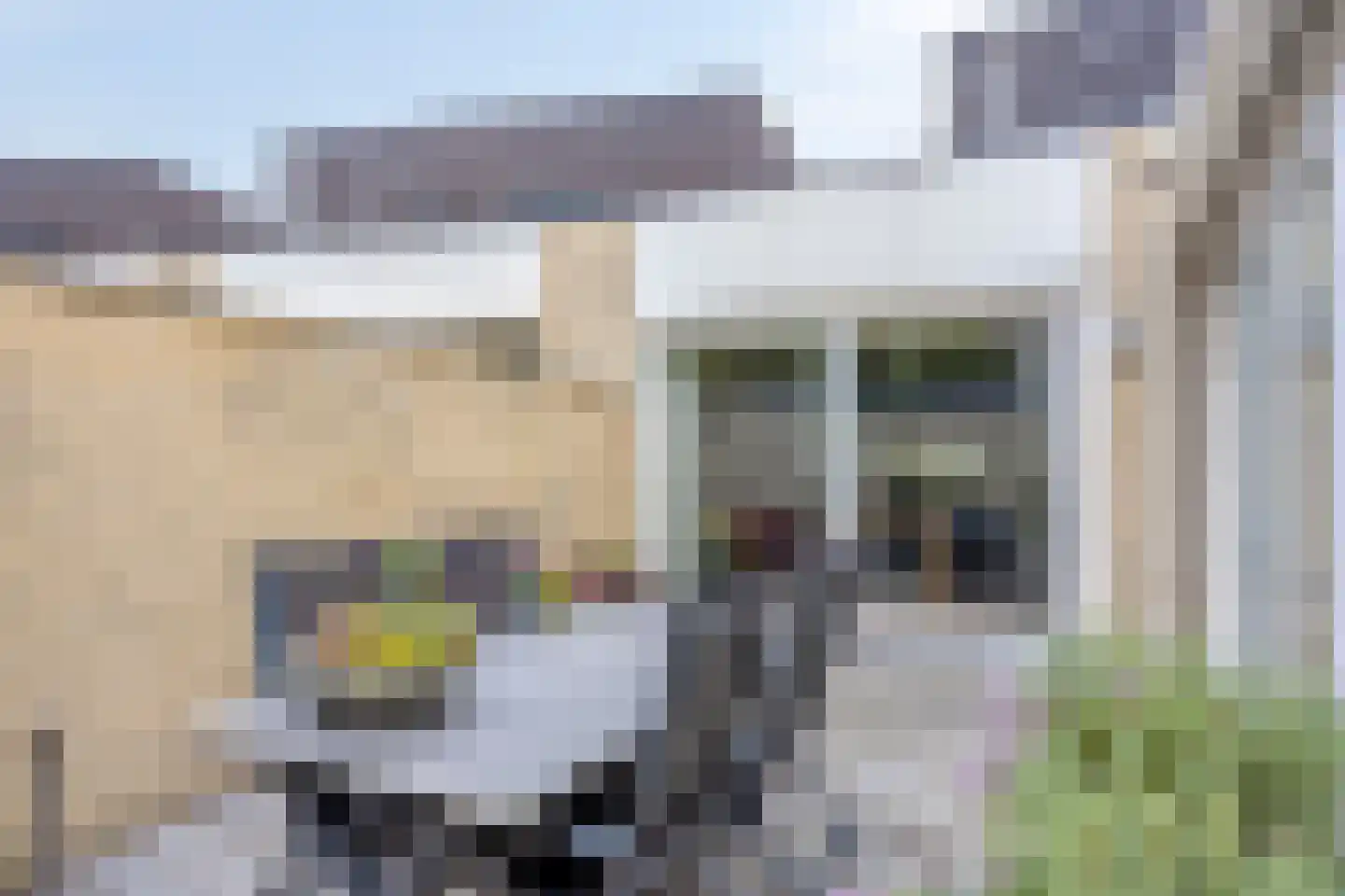 De Klok 17 Vlijmen thumbnail 37
