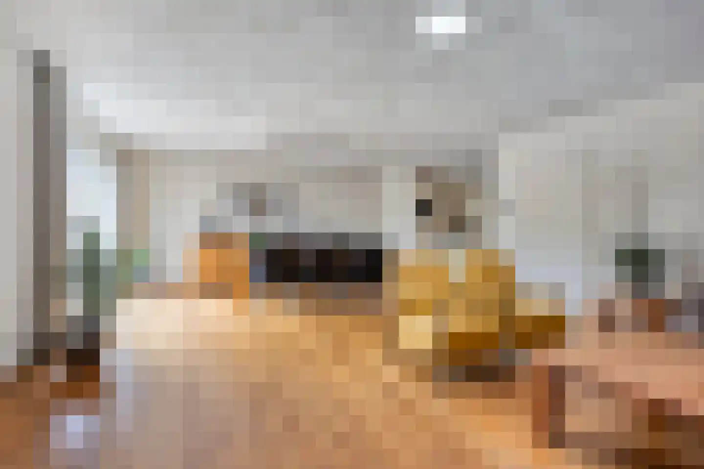 De Klok 17 Vlijmen thumbnail 8